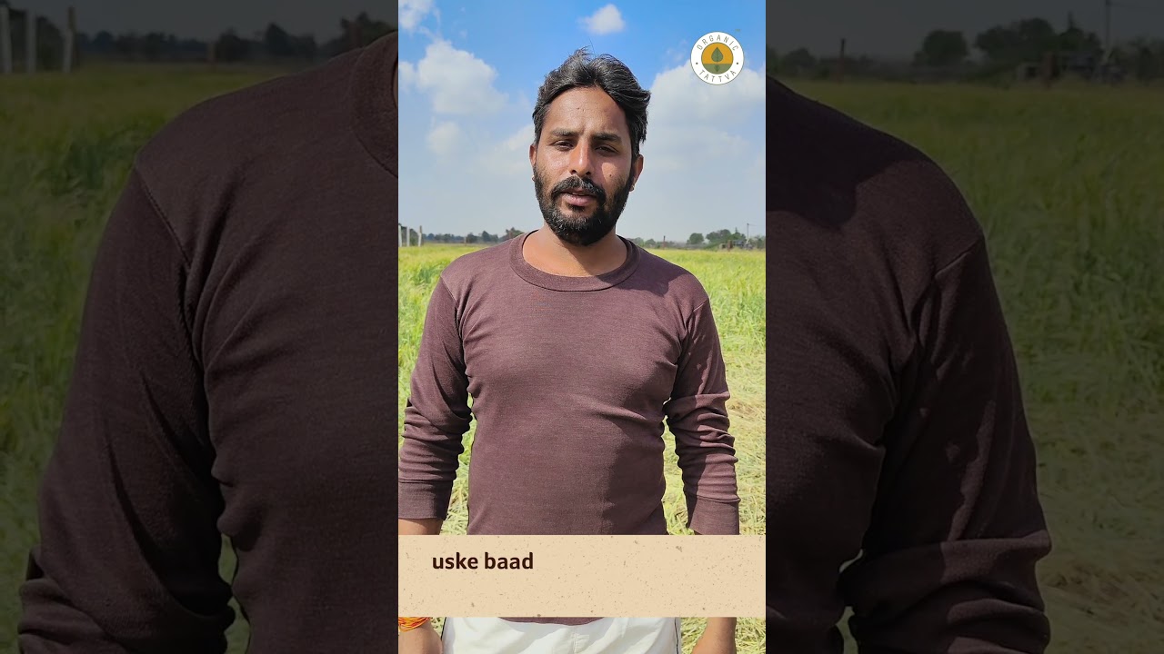 Organic Tattva - A farmer's journey after adapting organic farming