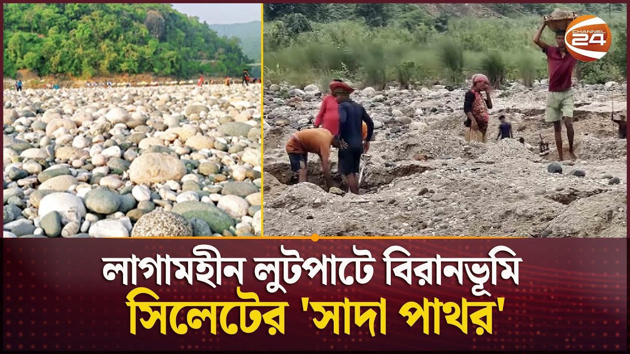 লাগামহীন লুটপাটে বিরানভূমি সিলেটের 'সাদা পাথর' | Sylhet | White Stone | Channel 24