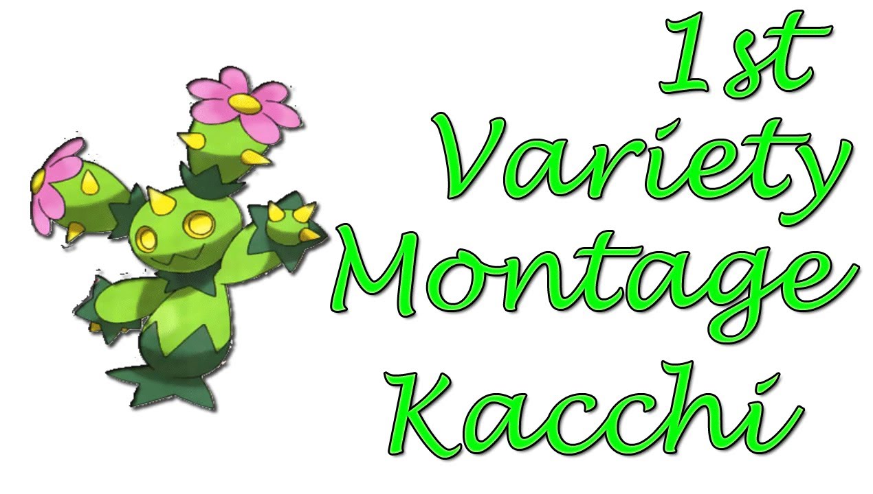 ★ Kacchi | 1st Variety Montage | Anonymous ★