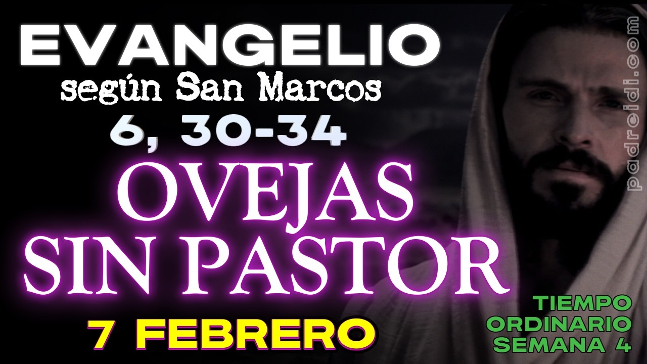 Febrero 7, Evangelio según san Marcos 6, 30-34, OVEJAS SIN PASTOR, Andaban como ovejas que no...