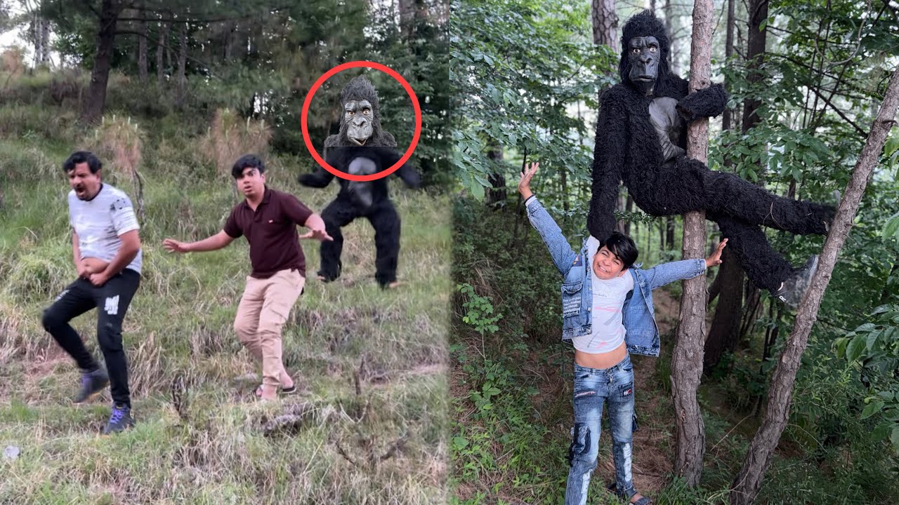 Hmara Picha Gorilla Lag Gea 😰 Jungle Me Talli Gum