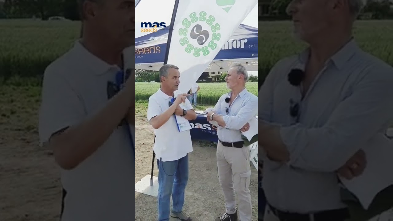 Cover Crops & Sovesci: le differenze! E tu le conosci?