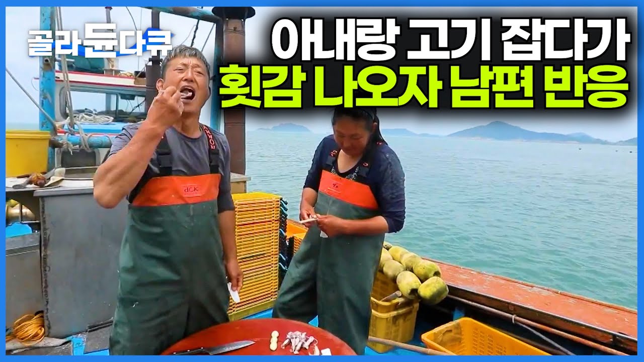 아내랑 멸치잡다가 횟감 나오니 바로 회 썰어먹는 남편｜부부만의 특별한 여름 보양식｜한국기행｜#골라듄다큐
