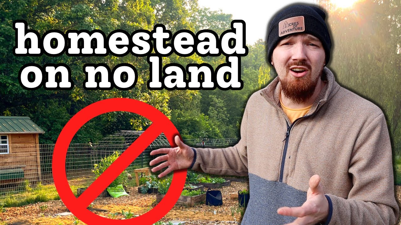 ANYBODY Can Start Homesteading...TODAY!