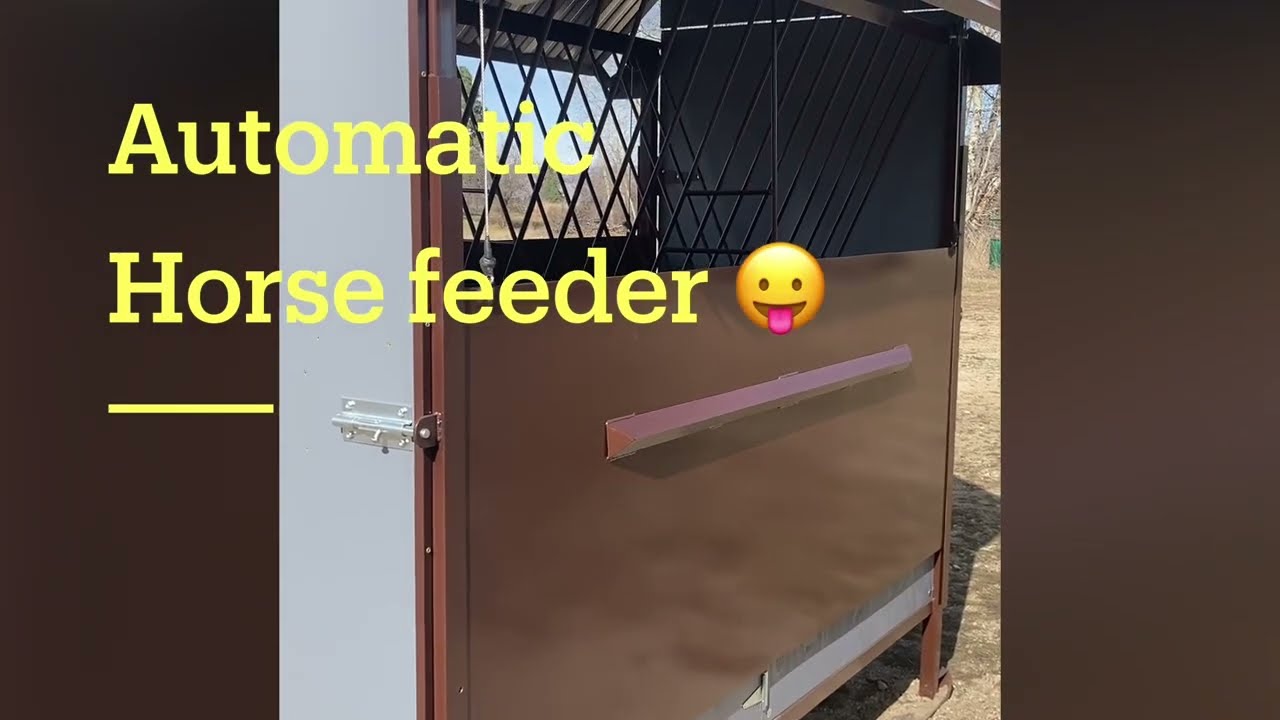 Smart automatic hay feeder for Feeding Horses Hay
