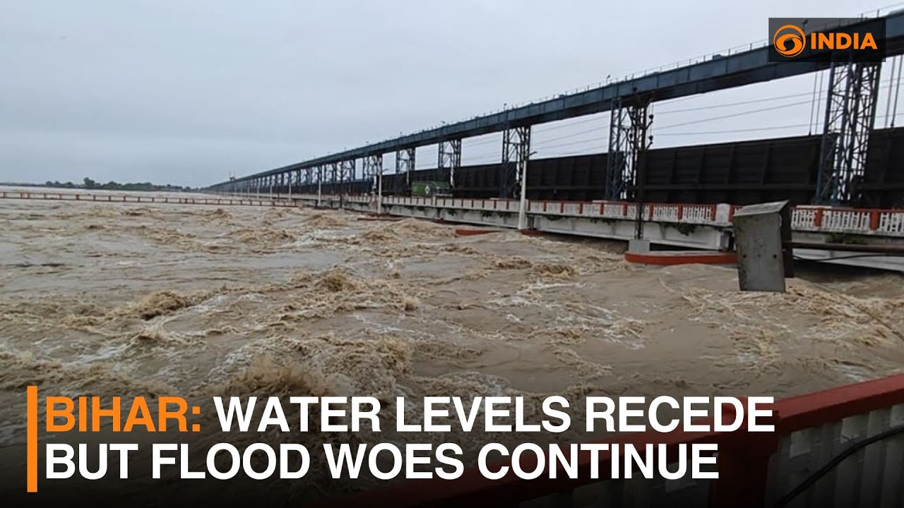Bihar: Water levels recede but flood woes continue | DD India