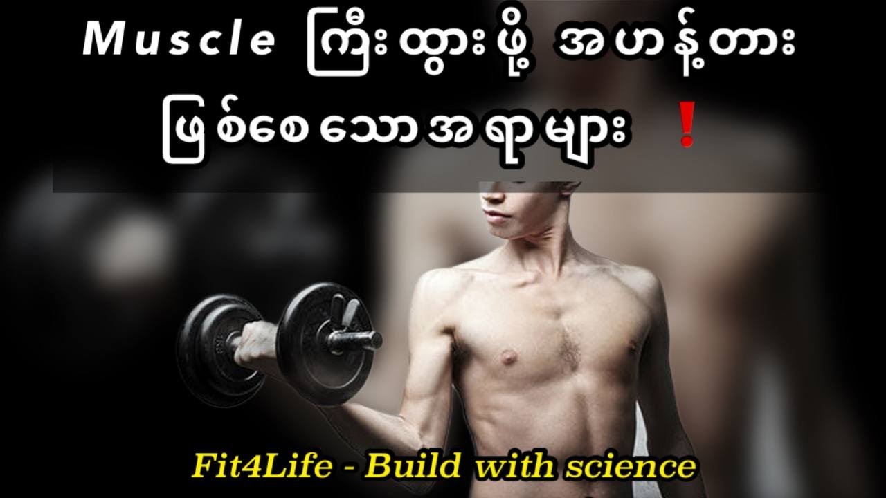 Muscle ကြီးထွားဖို အဟန့်တားဖြစ်စေသောအရာများ !