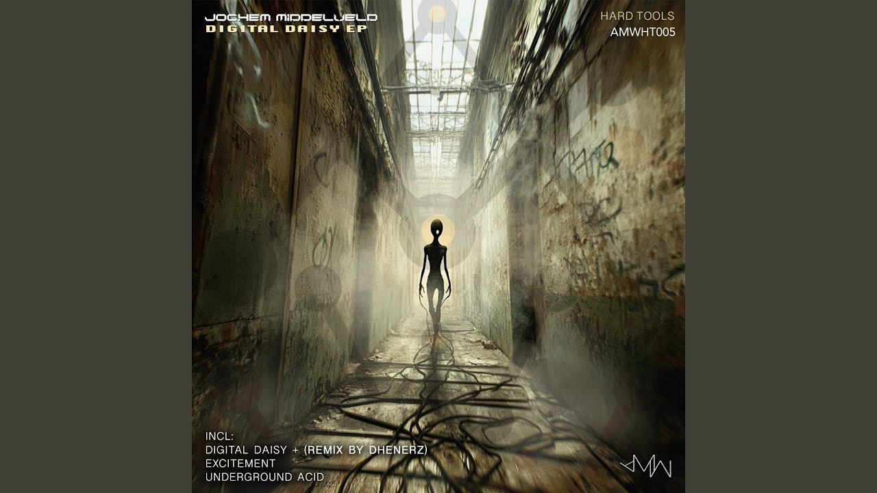 Digital Daisy (Original Mix)