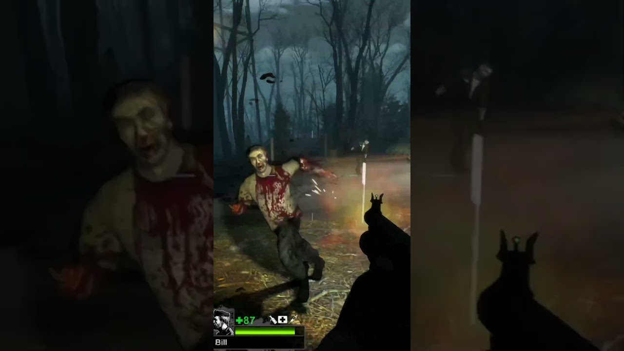 Left 4 Dead 2 Has A Fantastic Modding Community!