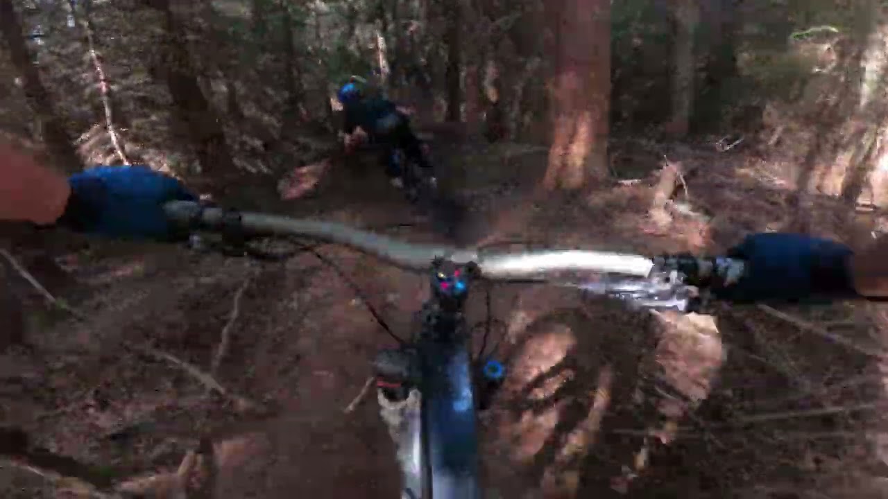 Having an absolute blast at Bennachie - Mountain biking Aberdeenshire - MTB