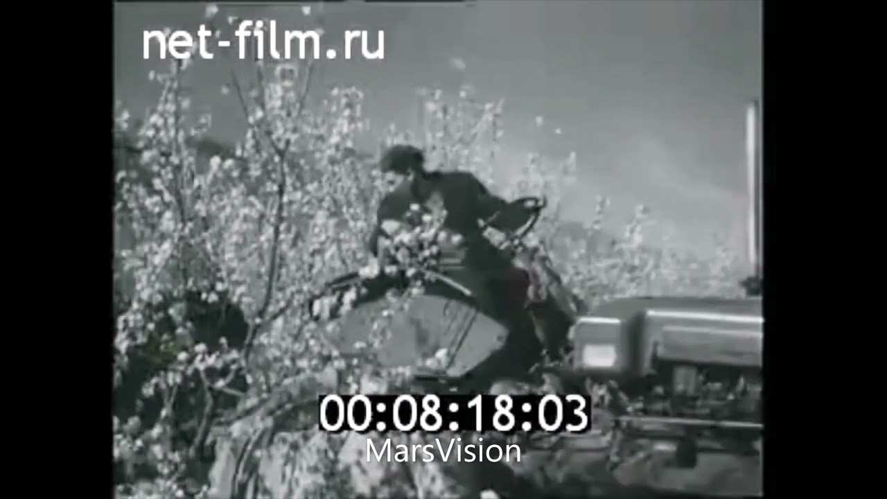 Фирюза сад Туркменская Советская Социалистическая Республика Туркменская ССР Туркмения Туркменистан