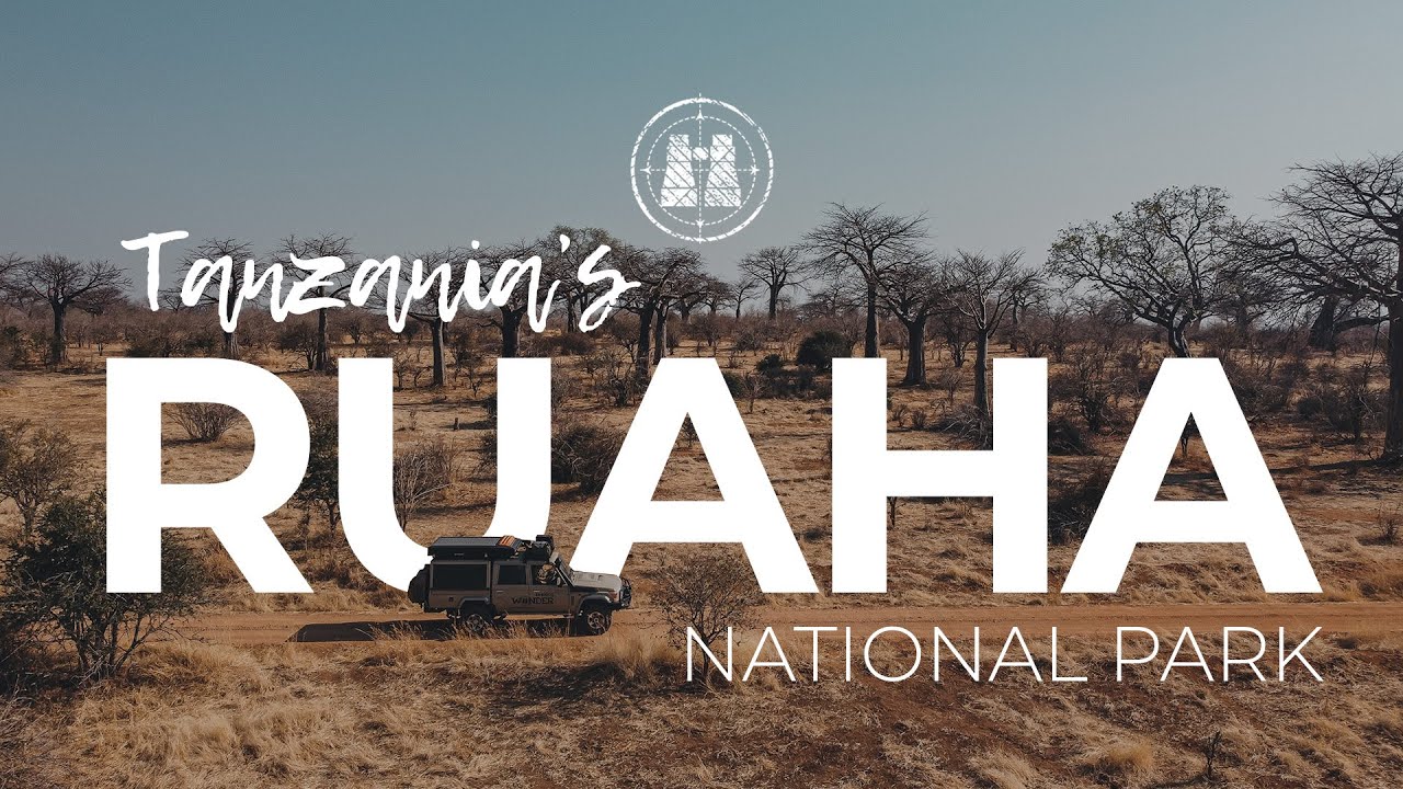 Ruaha National Park, Tanzania / 2023