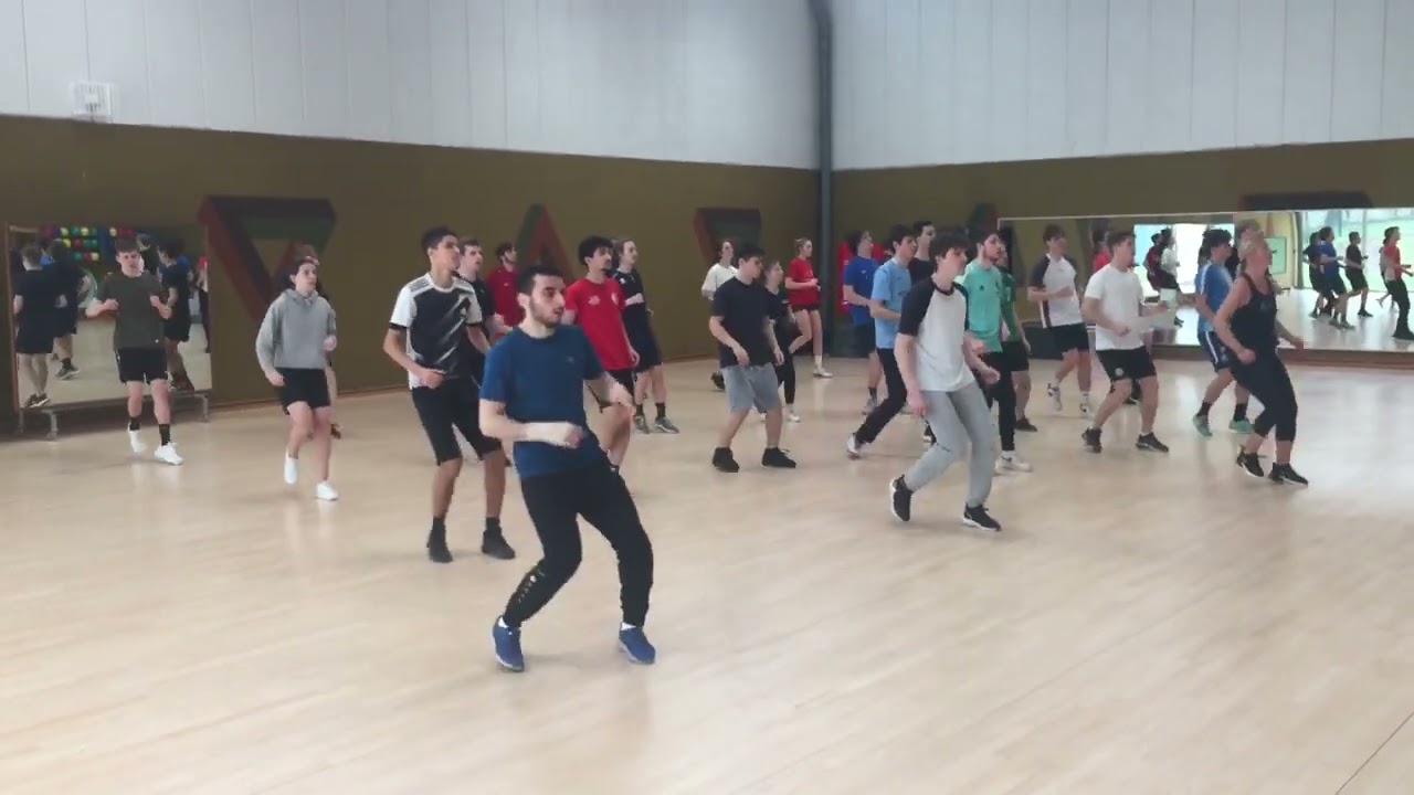 Dans lagere school shake it off