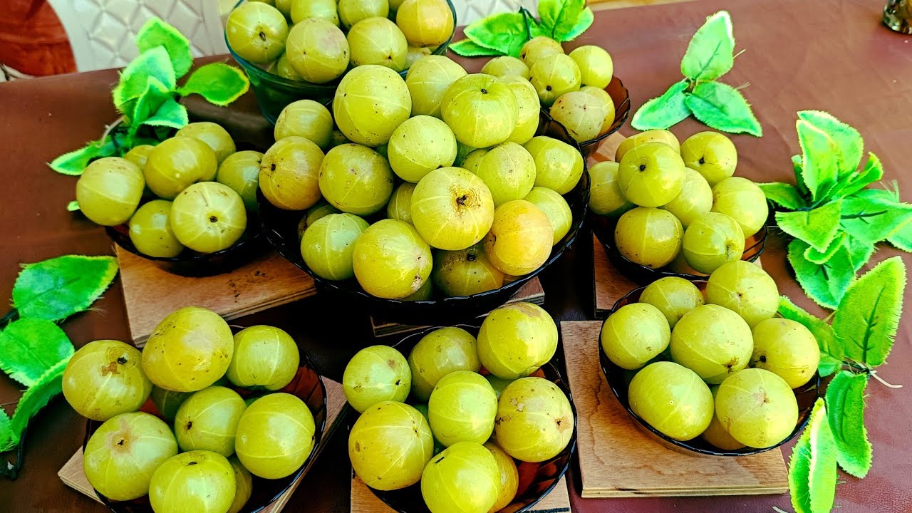 Ya$meen's kitchen and vlog is live😋Aamle ki candy ka prepration|#bhopal #live #aamla 