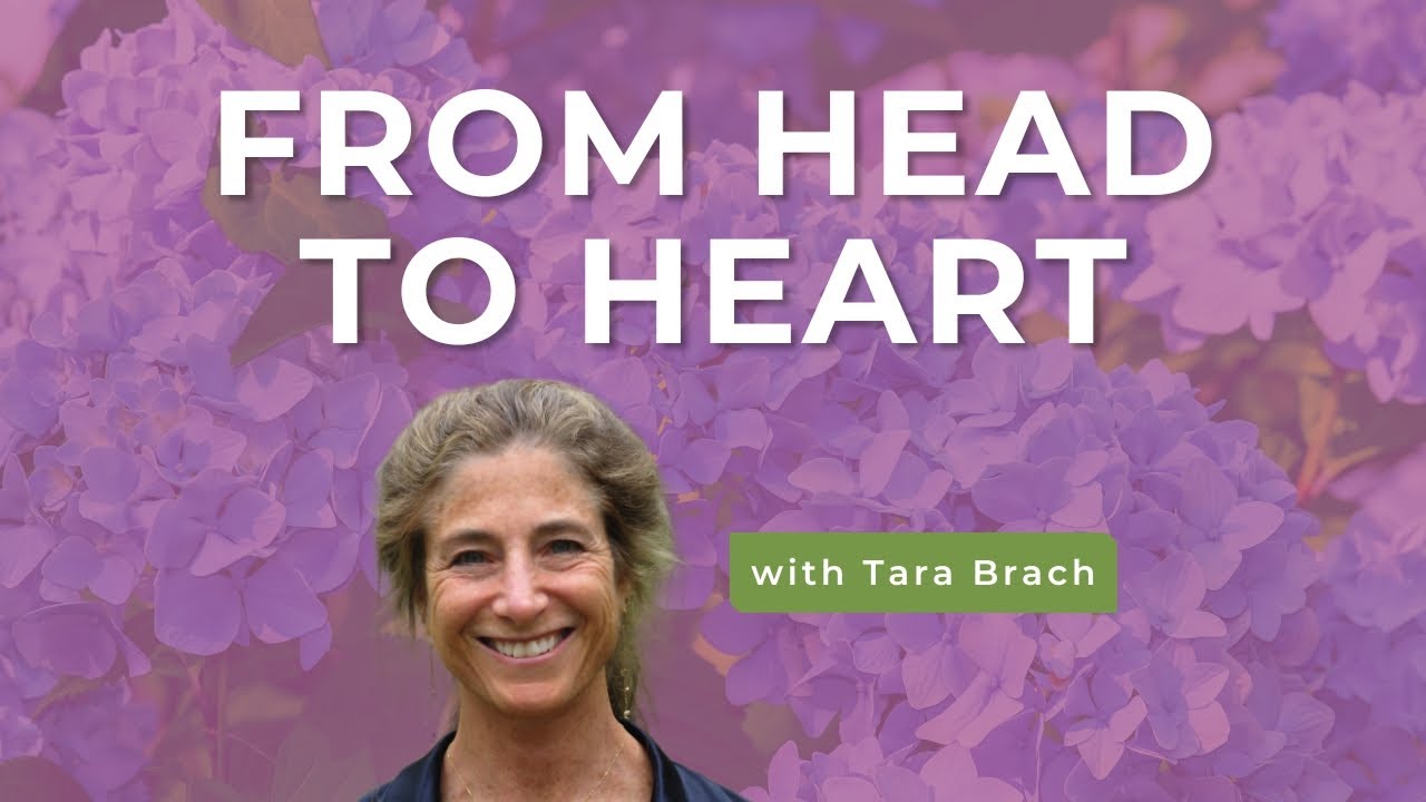 From Head To Heart, with Tara Brach