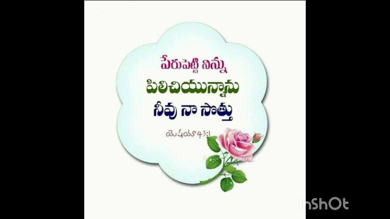 10 February 2026
