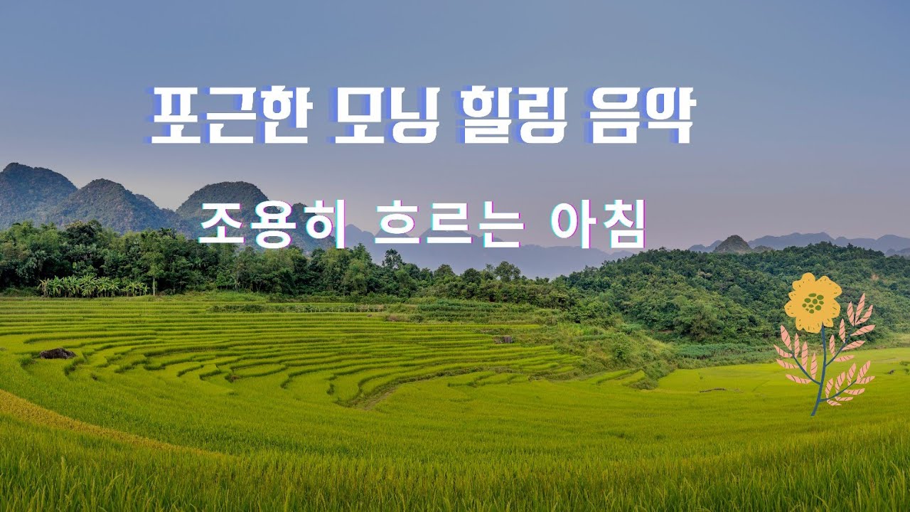 창가에 햇살이 머무는 아침 힐링 음악 | Calm Morning BGM