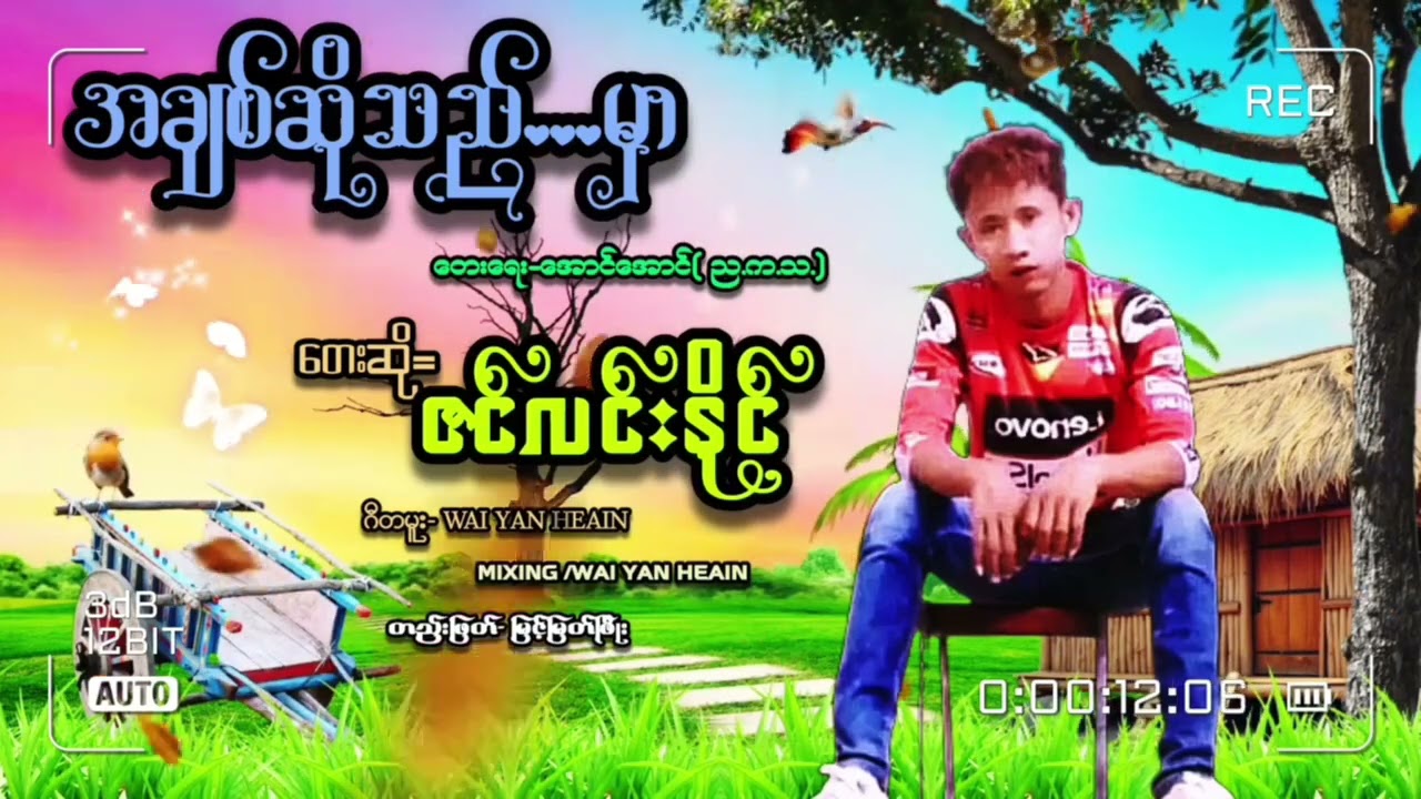 တေးဆို ဇင်လင်းနိင်|အချစ်ဆိုသည်....မှာ