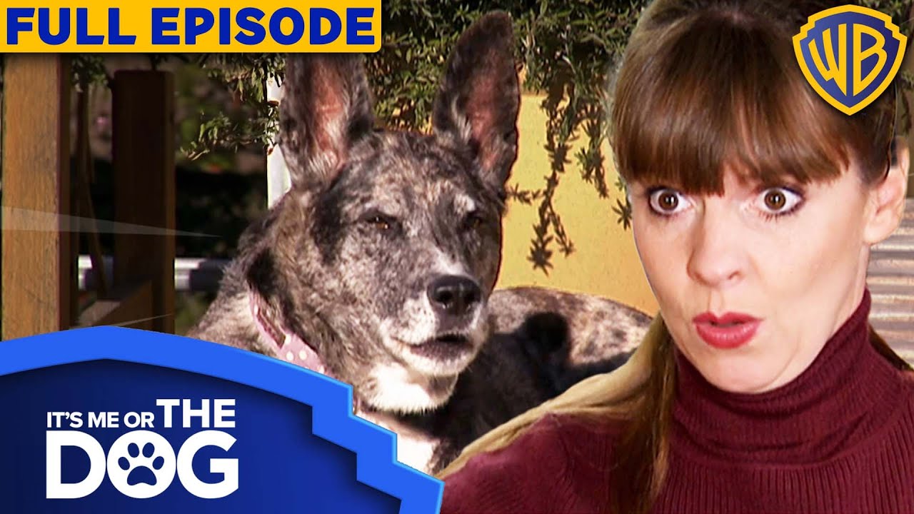 It's Me or The Dog USA | Season 1 Episode 18 | Warner Bros. TV