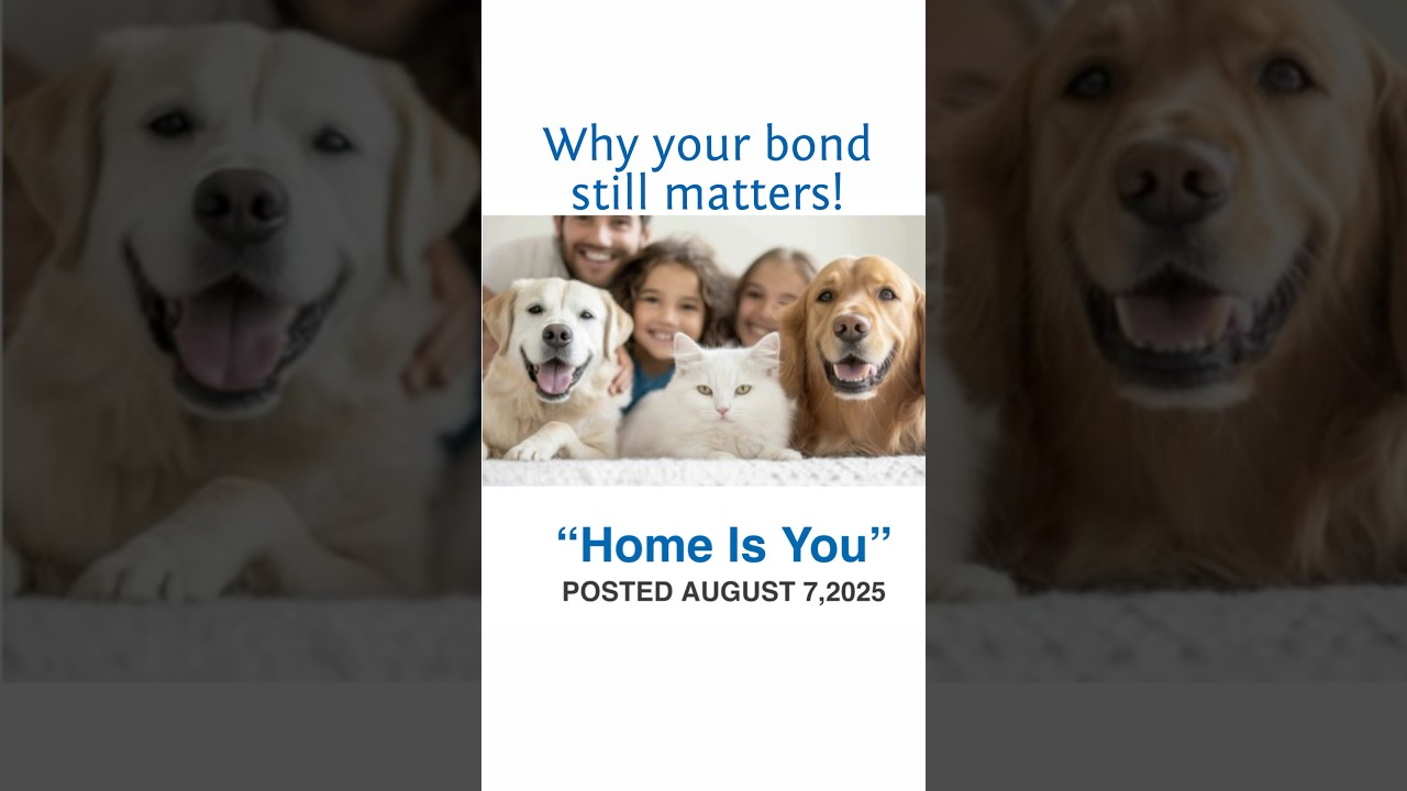 Why Your Bond With Your Pet Still Matters NAPPS Blog Home Is You PetSitters.org