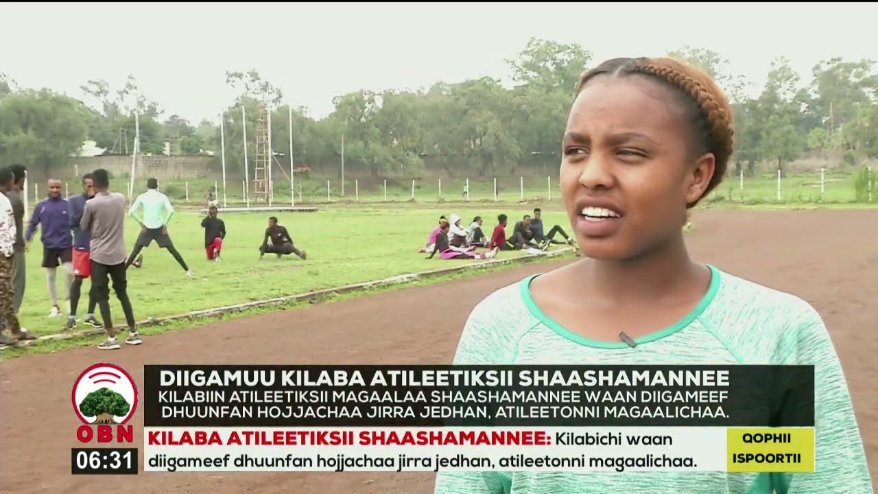 Diigamuu kilaba Atileetiksii Shaashamannee