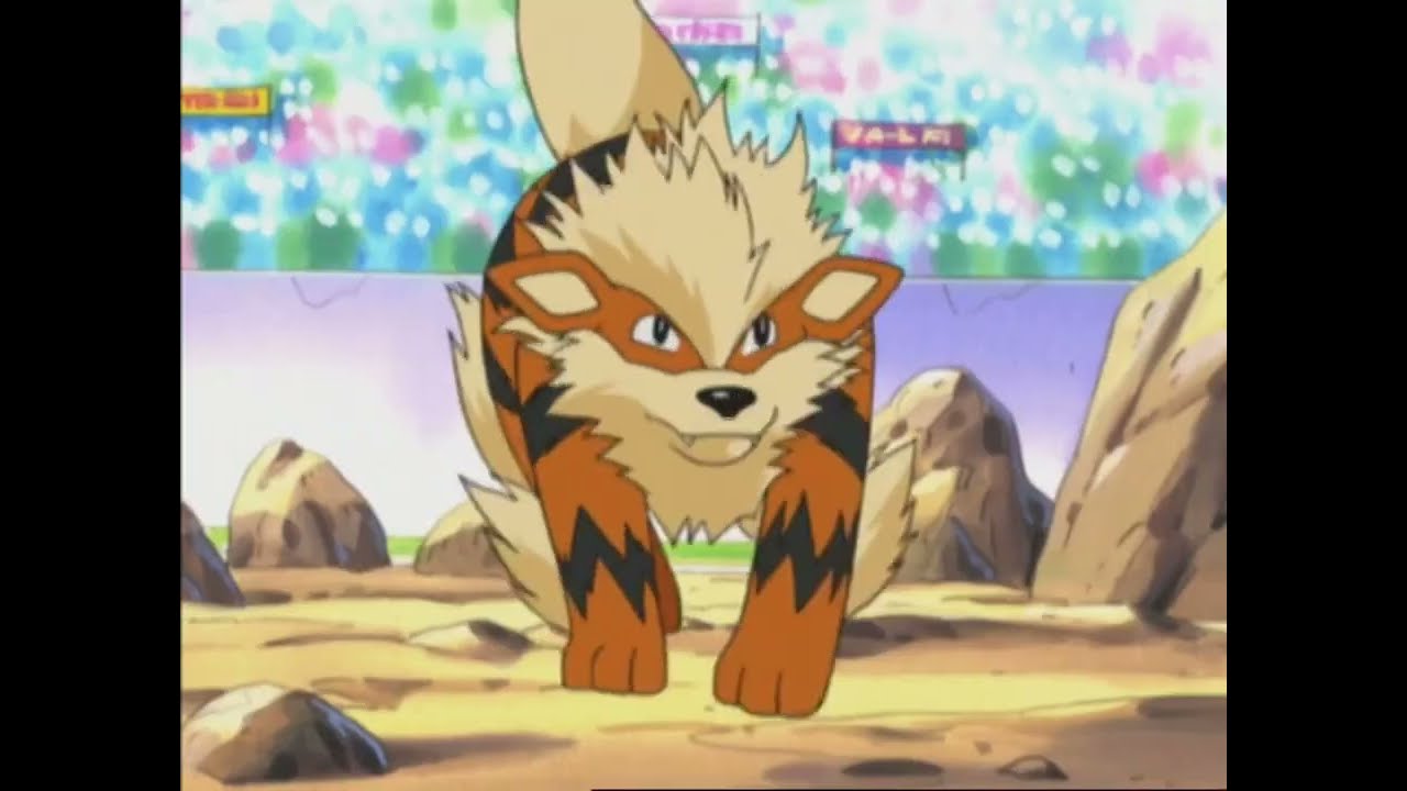 Pokemon: Snorlax vs Arcanine