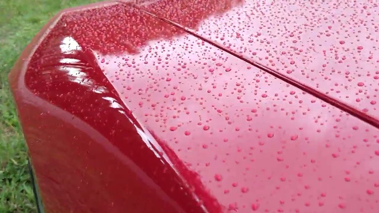 PT2 Rain Behavior on DPC LOTUS 4 Hrs after Applying
