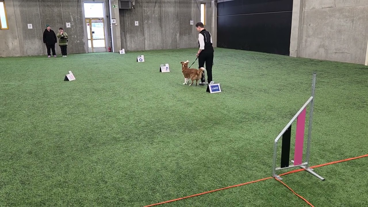 Nola rally-toko epiksissä 1.3.2026