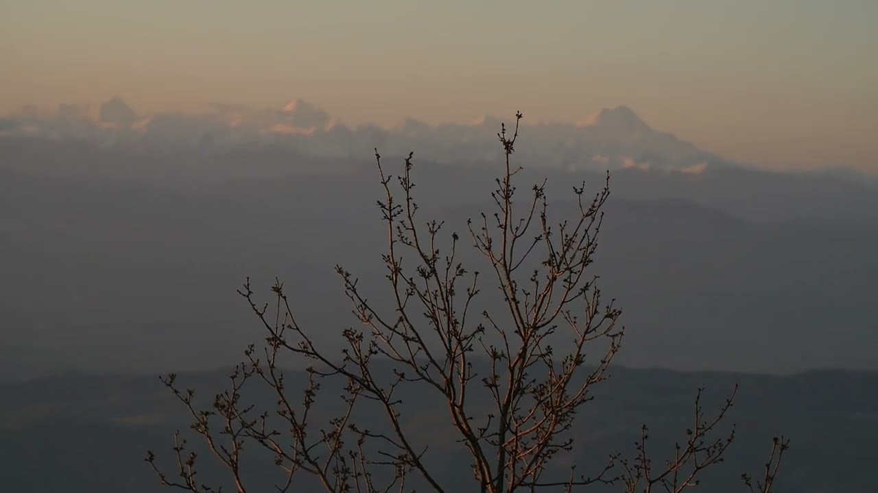 Sirius and the Spider / Ninth Elegy