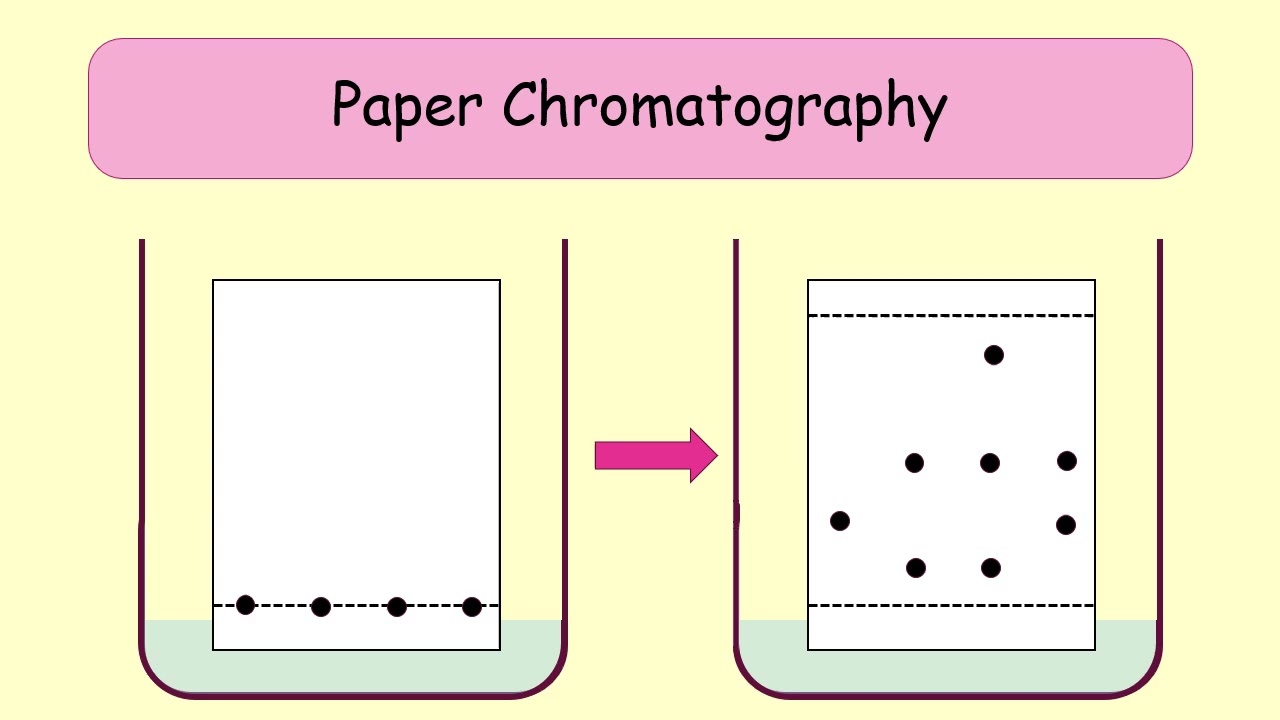 Chromatography and separating techniques 2025