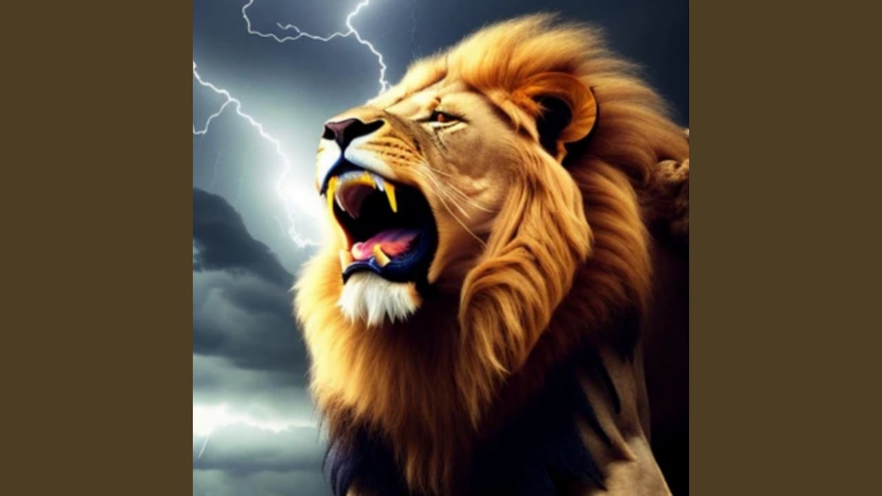 Spirit of courage - Nasheed