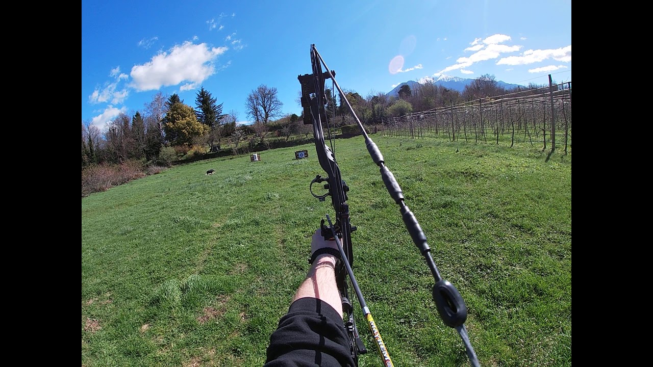 Hoyt Helix Turbo