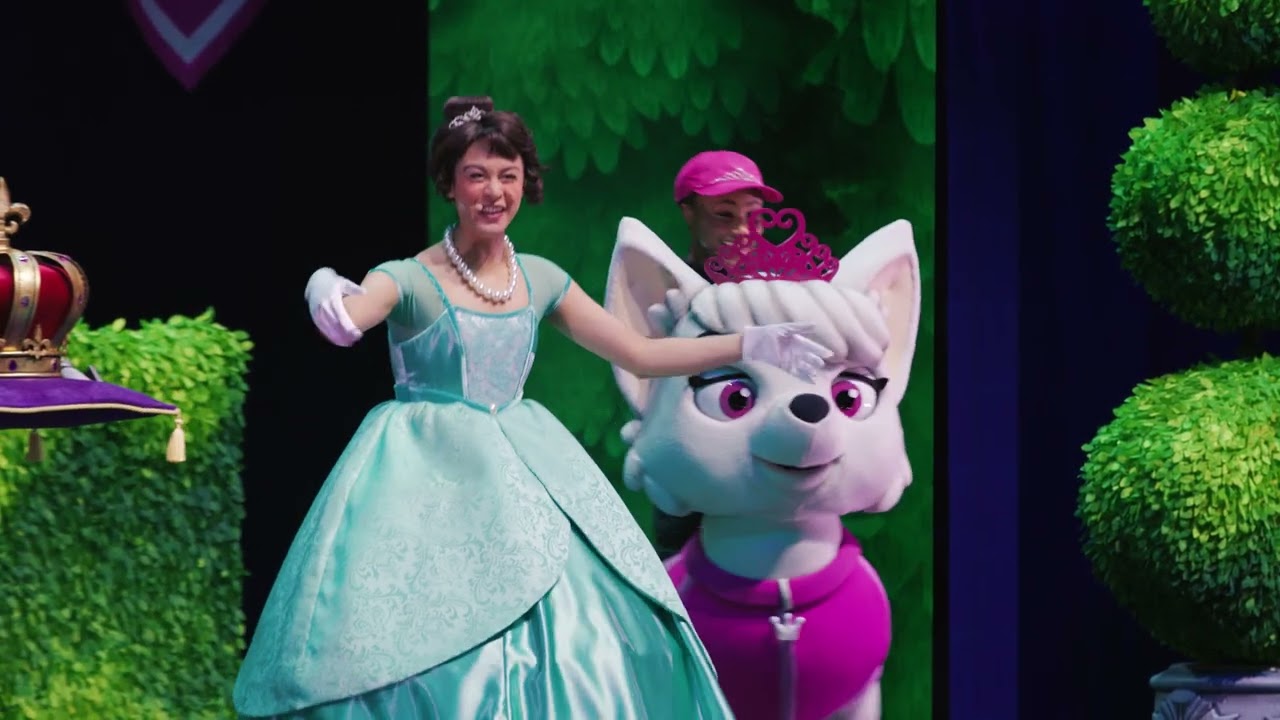 PAW Patrol Live! 