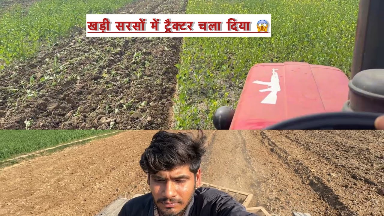 खड़ी सरसों मैं ट्रेक्टर चला दिया 😱😂