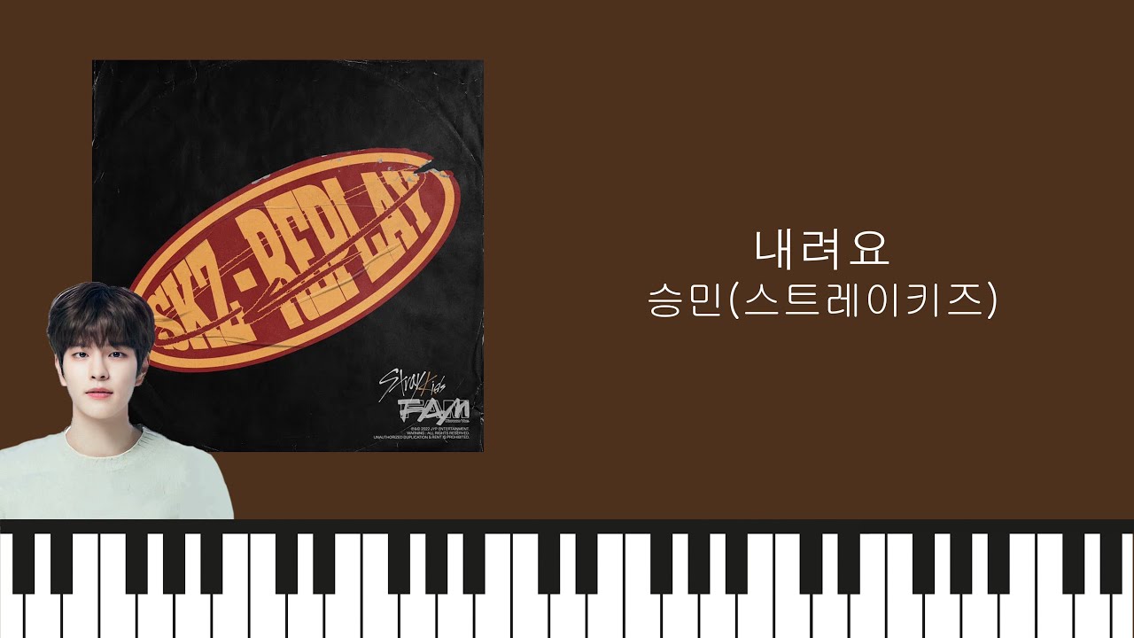 [연주] 내려요 // 승민 (Stray Kids) // #StrayKids // #내려요승민