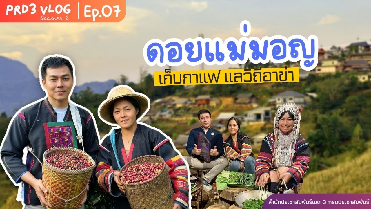 เก็บกาแฟ บน 