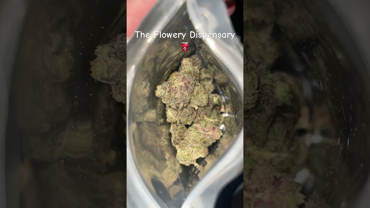 The Flowery Dispensary 🎁 #bud #weedchannel #hotbox #smokesession #420 #710 #theflowery #2025