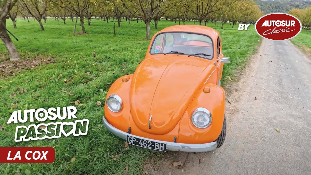 AUTOSUR Passion, la VW 