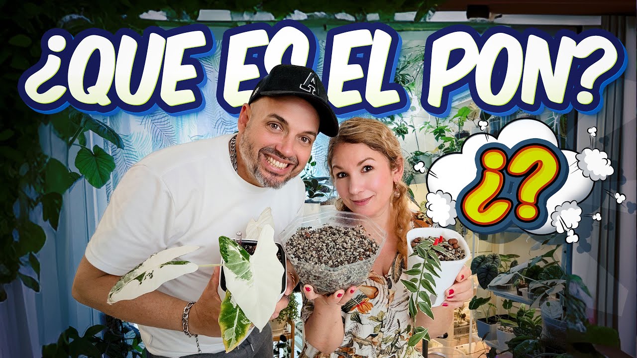 ¿Qué es el Sustrato PON? 🌱 ¡Descubre sus Beneficios para tus Plantas!