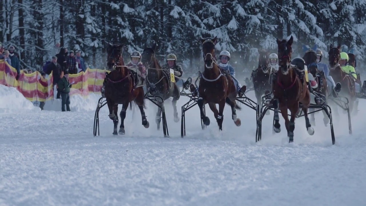 Pferderennen auf Schnee in Westendorf