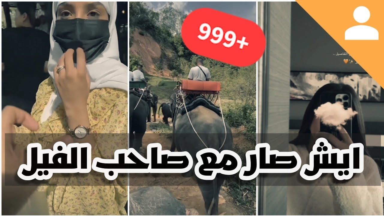 شيمي و مشاعل و المها في تايلند | شوفوا ايش صار لهم فوق الفيل. 😂