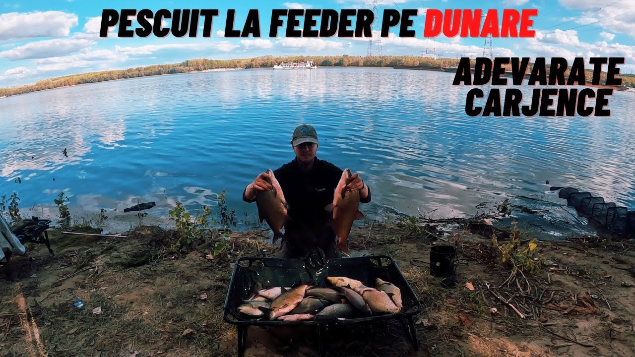 Pescuit la Feeder pe Dunare Am prins Platici Superbe