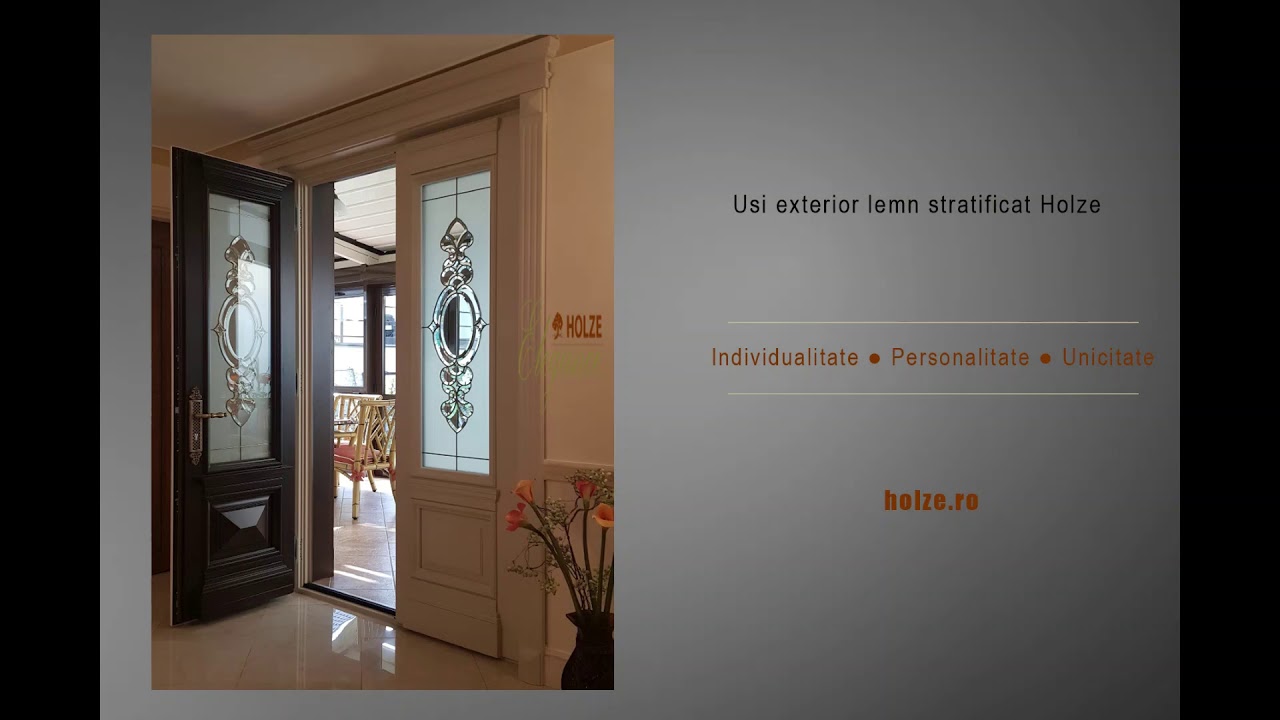 USI EXTERIOR LEMN MASIV STRATIFICAT | VITRALIU | NUC | STEJAR | IVORY | STICLA | MODELE | VIDEO