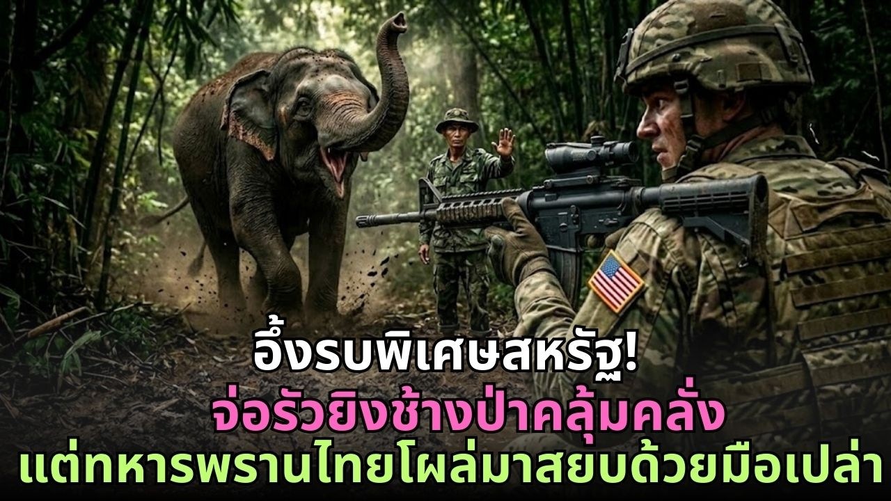 อึ้งรบพิเศษสหรัฐ! จ่อรัวยิงช้างป่าคลุ้มคลั่ง แต่ทหารพรานไทยโผล่มาสยบมันได้ด้วยมือเปล่าสุดทึ่ง
