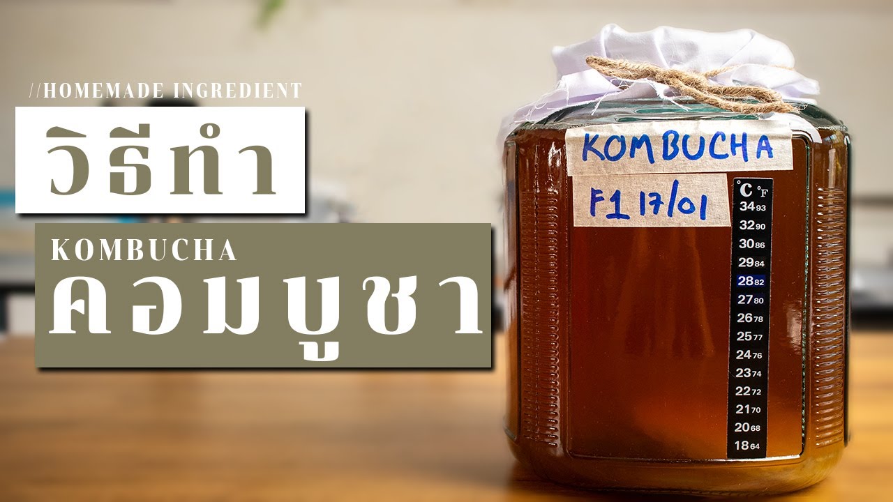 วิธีทำคอมบูชา ชาหมักเพื่อสุขภาพสูตร 1 (F1) มีโพรไบโอติก ดีต่อลำไส้ ช่วยระบบขับถ่าย | Kombucha