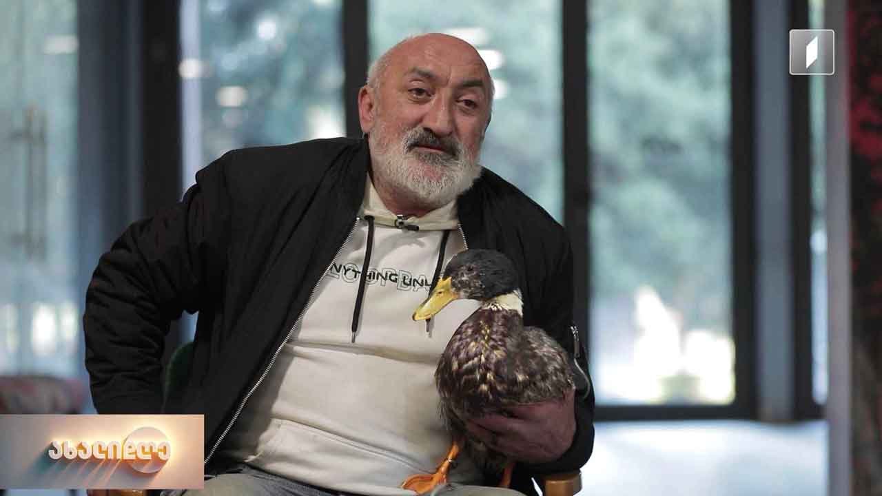 იხვი ვიტოსა და მისი პატრონის, იოსებ მალუძის უჩვეულო მეგობრობის ისტორია