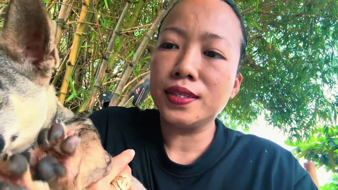 Trong video này em là tất cả hoàn cảnh các con hôm nay xin cô chú xem giúp em nếu thấy hợp lý 