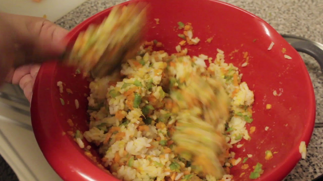 HOMEMADE + HEALTHY DOG FOOD FOR OUR MALTESE