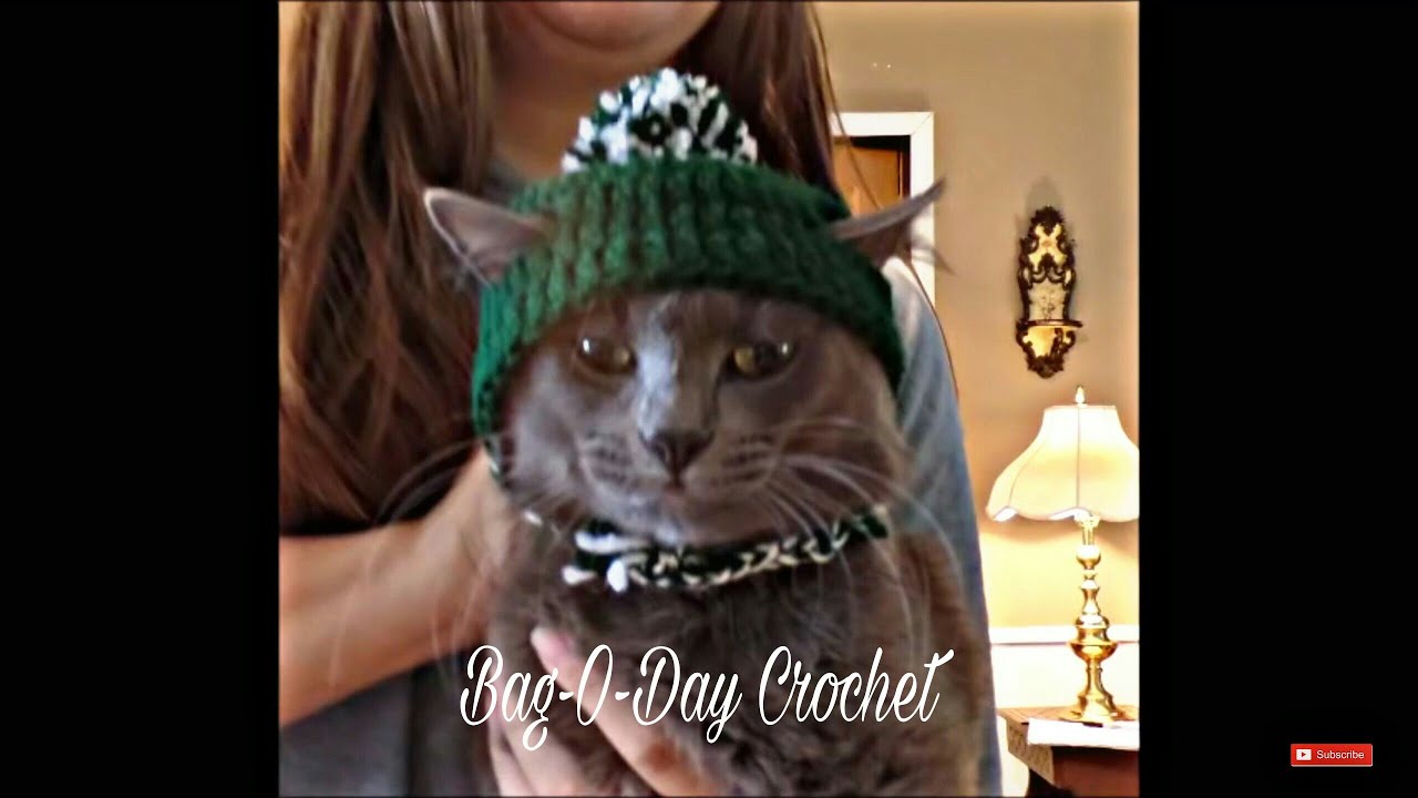 Easy Crochet a Cat Hat | Easy Crochet Beanie with Ear Holes | Bag o day Crochet Tutorial 