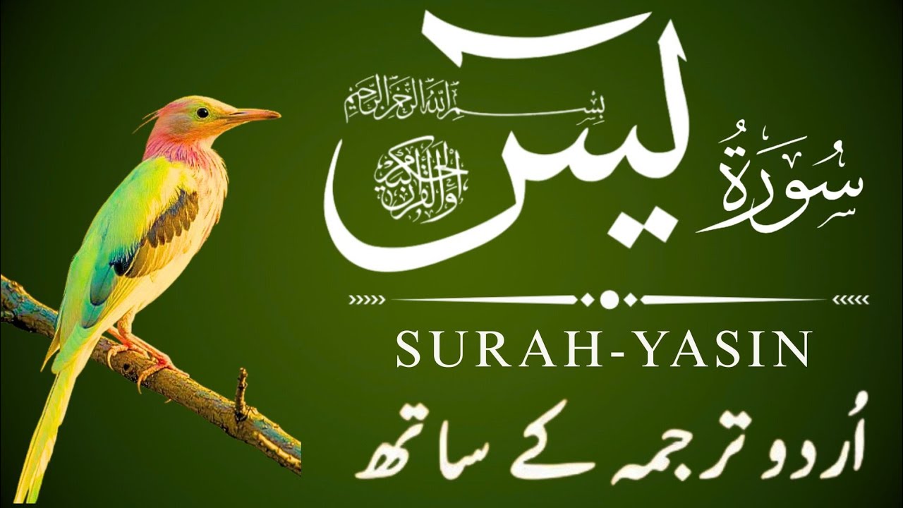Surah Yaseen with Urdu Translation | Episode 89 | Soulful Quran Recitation | Zikr e Quran Recite